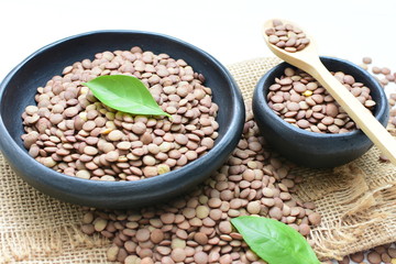 Very colorful natural lentil grains