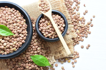  variety of natural lentils in different backgrounds