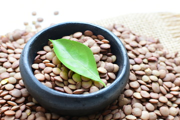 Very colorful natural lentil grains