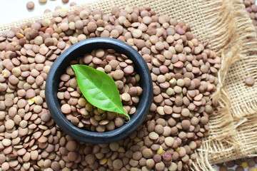 Very colorful natural lentil grains