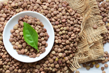  variety of natural lentils in different backgrounds