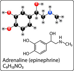 adrenaline Molecule Structure © Gregory