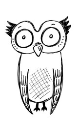 Ink Sketch of an Owl