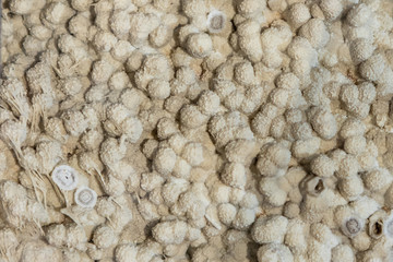 Stone texture and background. Rock mineral exclusive unique texture