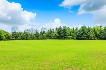 Green grass and forest with building in city park