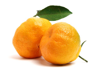 ugly tangerine on a white background 