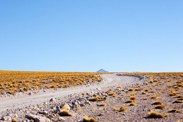 Bolivian lagoon view,Bolivia