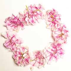 Frame of pink flowers