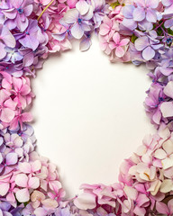 Frame created with pink and purple hydrangea flower petals isolated on a white background