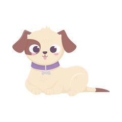 cute dog lying domestic cartoon animal, pets