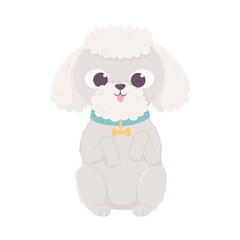 cute dog sitting domestic cartoon animal, pets