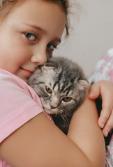Closeup portrait of child with a cute scottish fold kitten.