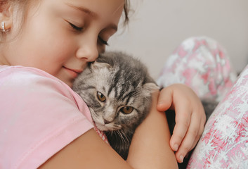 Closeup portrait of beautiful little girl with closed eyes with a cute scottish fold kitten.