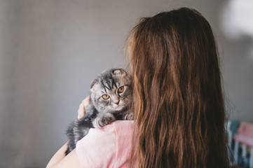 Cute kitten sits on the long-haired little girl's shoulder and looks to camera.