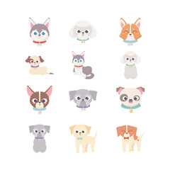 Obraz na płótnie Canvas cute dog domestic cartoon animal, set pets