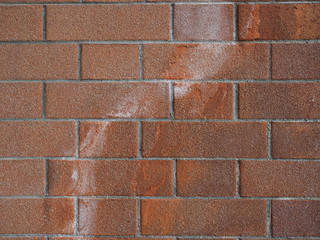 efflorescence on a wall