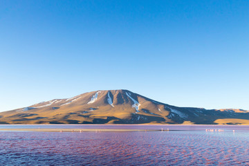 Laguna Colorada view, Bolivia