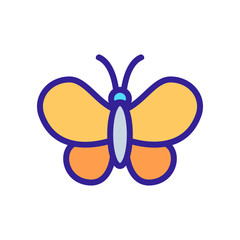 Butterfly icon vector. Thin line sign. Isolated contour symbol illustration