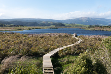 Boardwalk across the wetlands to the lake at Sinclair Wetlands, Otago, New Zealand.