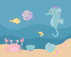 seahorse fishes crab shrimp sand life cartoon under the sea