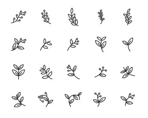 set of leaf icons, branch, cherry blossom, nature,  plant, spring