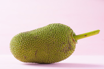 Fresh jackfruit is a tropical fruit on a pink background