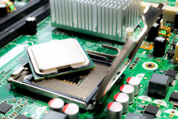 processor at the main mother's socket