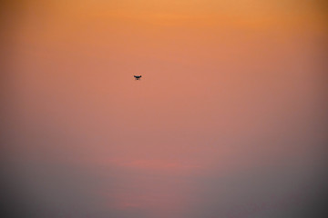 Drought and summer season, Hot landscape.