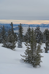 View of Lake Tahoe from Chickadee Ridge on cold overcast winter afternoon.