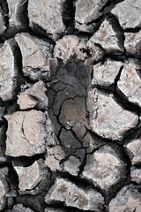 Fototapeta premium Drought and summer season, Hot landscape.