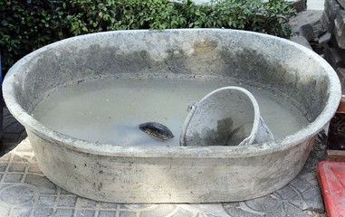Fototapeta premium Cement mixing tub full with dirty water after finished task