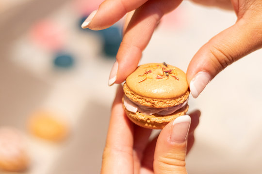 Bunte Macarons mit leckerer Frucht und Knusper Karamell Creme gef&uuml;llt Dekoriert mit essbaren Bl&uuml;ten und Glitzerpuder