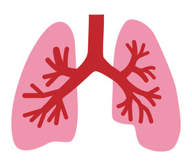 Fototapeta premium Human Lung icon