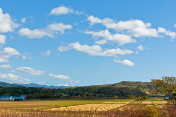 Obraz premium 青い空と白い雲 北海道の広い空