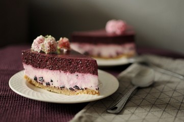 Pieces of homemade cheesecake with blueberry on white plate. Dark background.