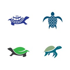 Turtle logo vector icon