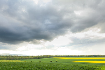Agricultural Growth -Various Fields - Agriculture Farming Field