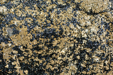 texture of stone
