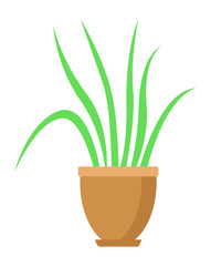 Houseplant in a pot. Isolated on a white background. Flat design. Vector illustration.