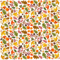 Autumn background. Collage of dry autumn leaves on a white background