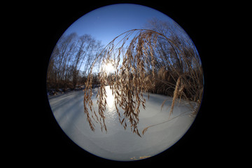 Northern fisheye landscape. Forest and river
