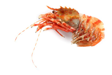 Shrimp isolated on white (northern Bering shrimp)