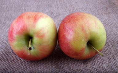 Apples on bagging