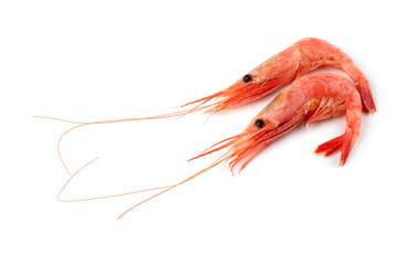Shrimps isolated on white
