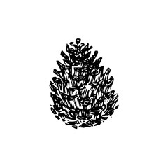Hand drawn pinecone vector illustration. Linocut pine or fir cone decorative graphic image. Stylized vintage monochrome black isolated on white background