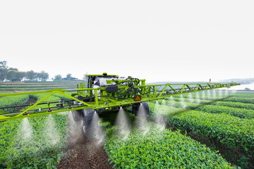 Agriculture tractor spraying fertilizer on green tea fields, Technology smart farm concept - obrazy, fototapety, plakaty
