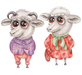 Sheep alphabet