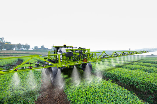Agriculture tractor spraying fertilizer on green tea fields, Technology smart farm concept