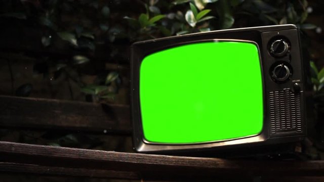 1970s TV with Green Screen in a Park Outdoors. Pollen Particles Floating in the Air. Zoom In. You can replace green screen with the footage or picture you want. You can do it with “Keying” effect.