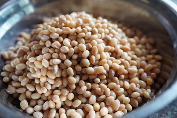Soybean in hand and soak in water 3 hours before make soy milk.